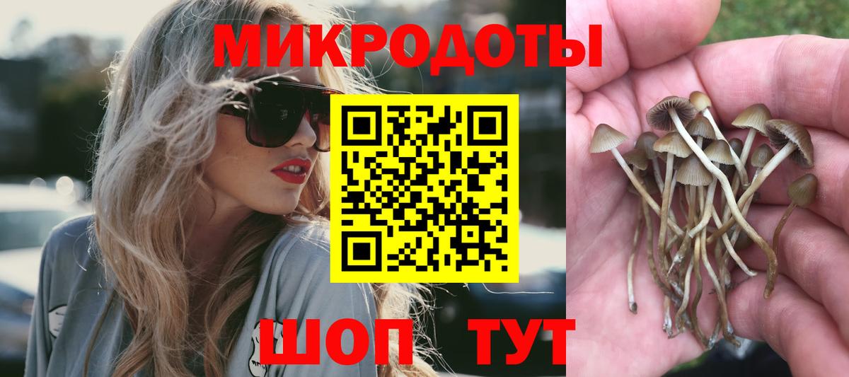 Изобильный  Галлюциногенные грибы Psilocybine cubensis  Вход с VPN 