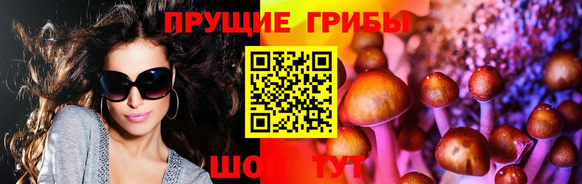 Галлюциногенные грибы мухоморы Изобильный
